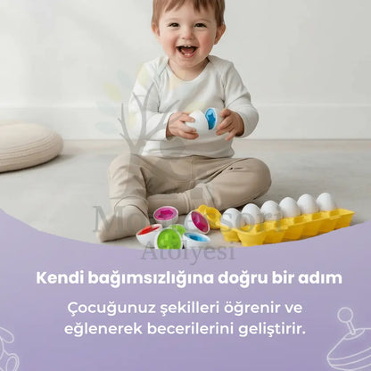 Montessori Yumurta Şekil Eşleştirme Motor Beceri Oyuncağı