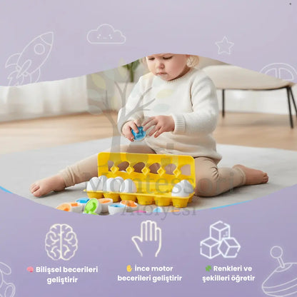 Montessori Yumurta Şekil Eşleştirme Motor Beceri Oyuncağı