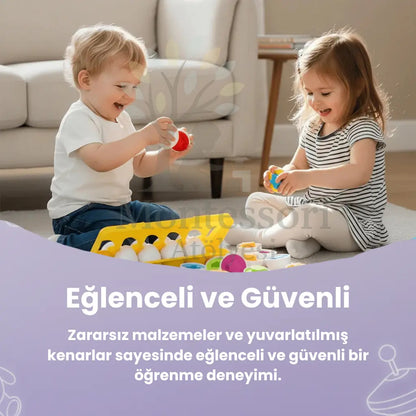 Montessori Yumurta Şekil Eşleştirme Motor Beceri Oyuncağı