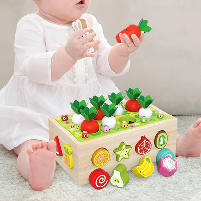 Montessori Ahşap Sebze Meyve Gelişim ve Keşif Arabası Montessori Atölyesi