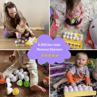 Montessori Yumurta Şekil Eşleştirme Motor Beceri Oyuncağı