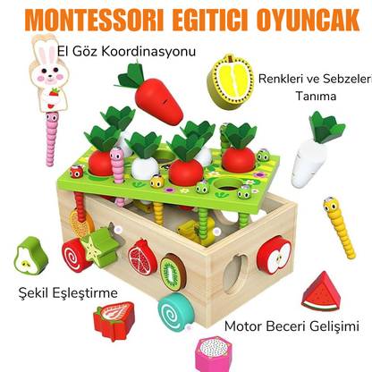 Montessori Ahşap Sebze ve Meyve Eşleştirme Oyunu Montessori Atölyesi
